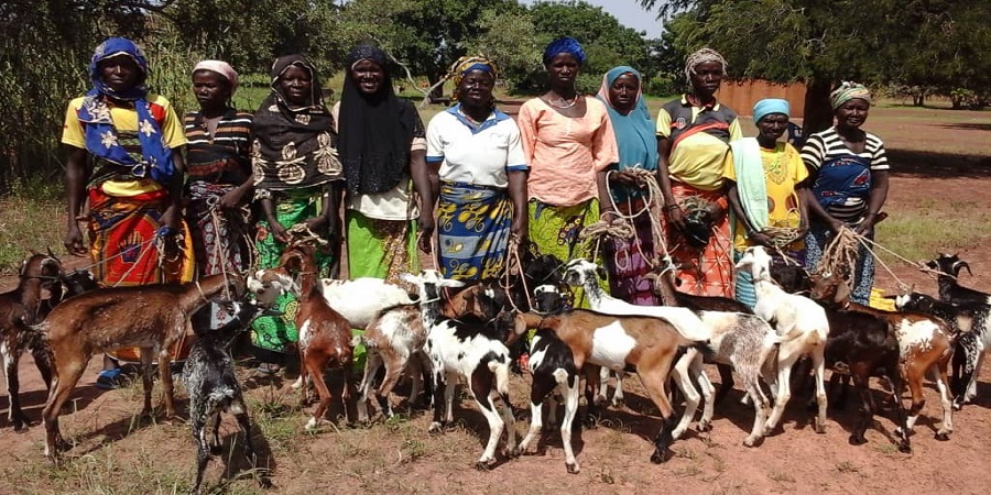 • Renforcer les moyens de subsistance et d'autonomisation des femmes des ménages vulnérables à travers le don rotatif des animaux